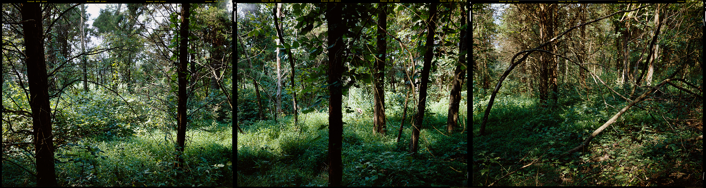East Berlin, Pennsylvania, 2006