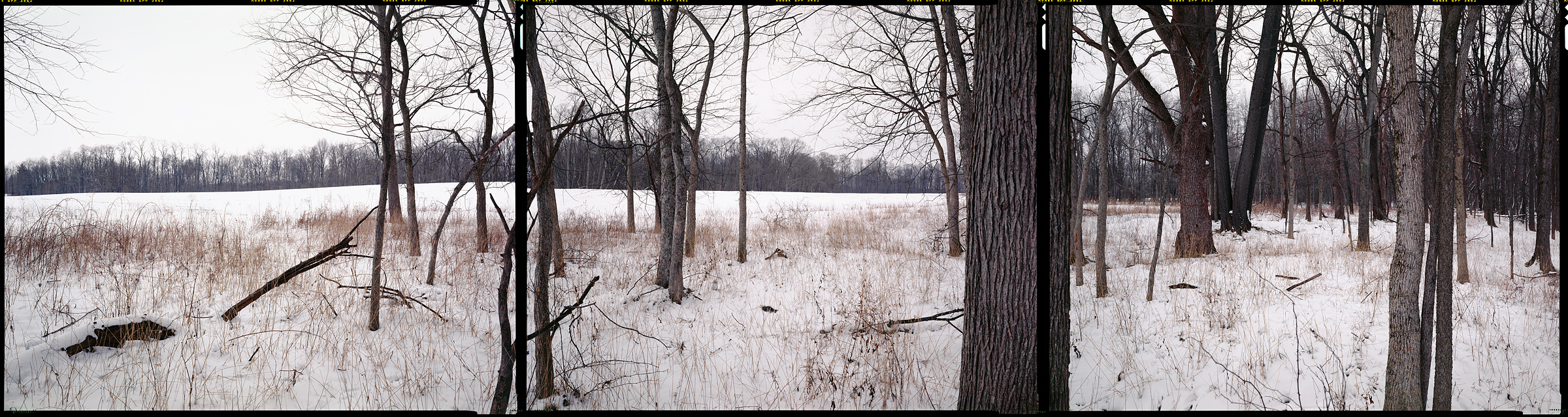 Crawfordsville, Indiana, 2012