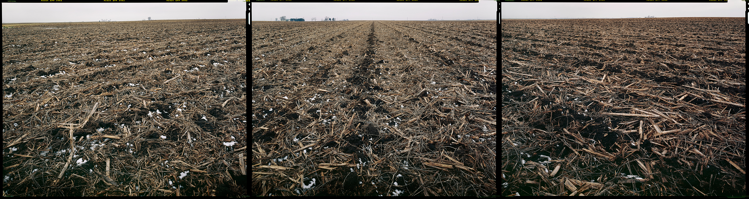 Homer, Illinois, 2012