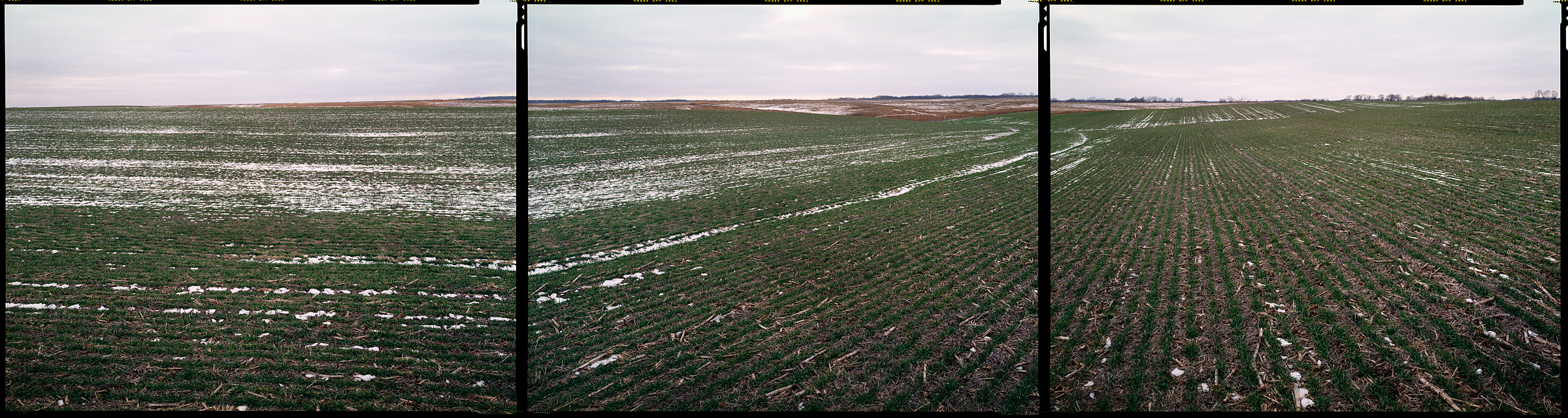 Newmansville, Illinois, 2012