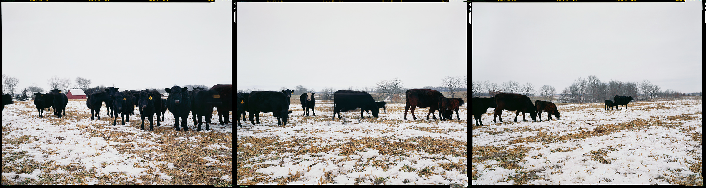 Clayton, Illinois, 2012