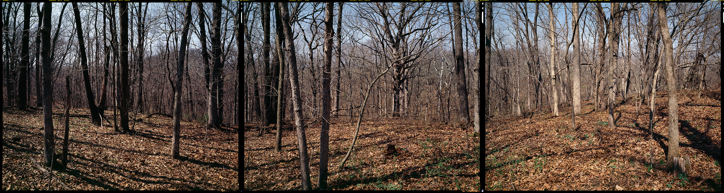 Newark, Missouri, 2011