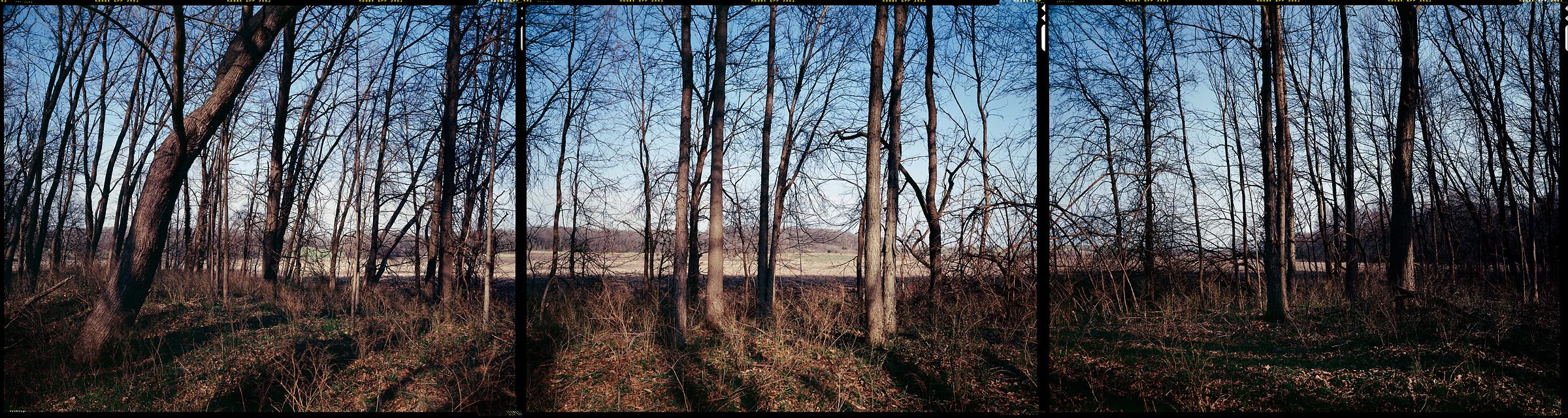 Winigan, Missouri, 2011