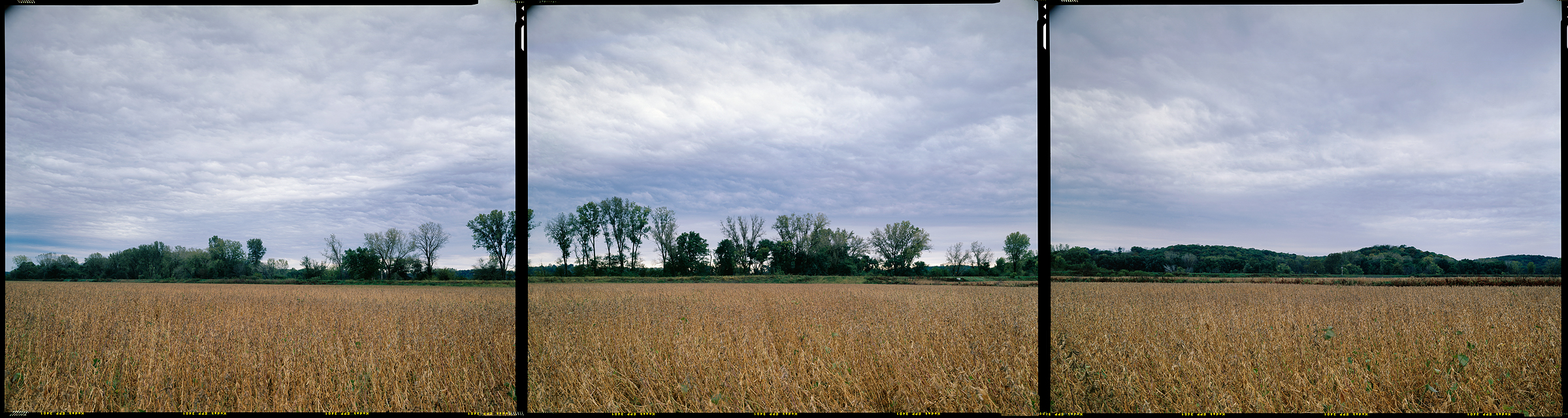 Fillmore, Missouri, 2007