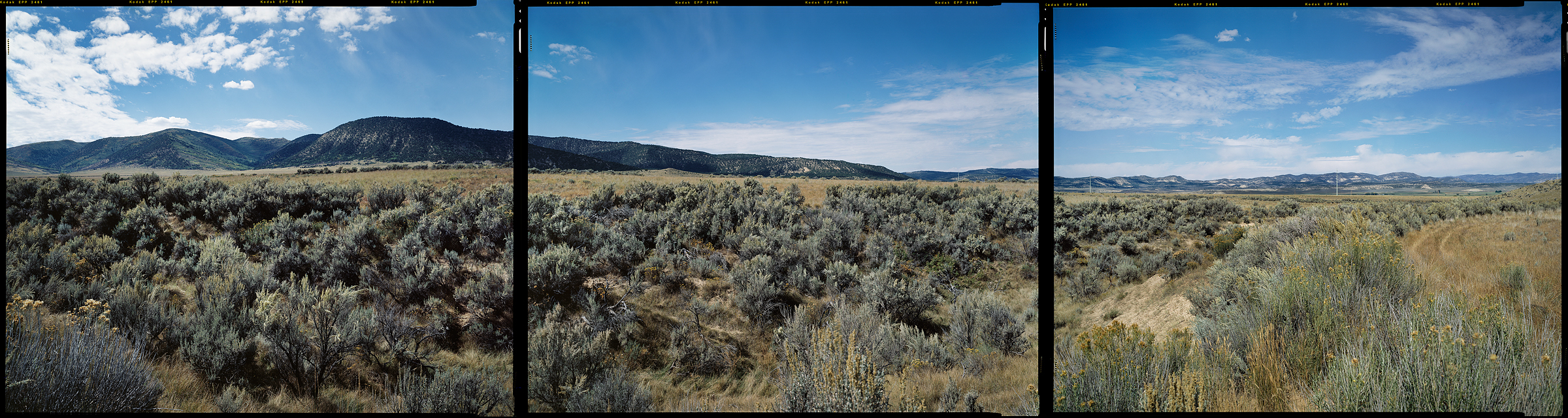 Meeker, Colorado, 2000