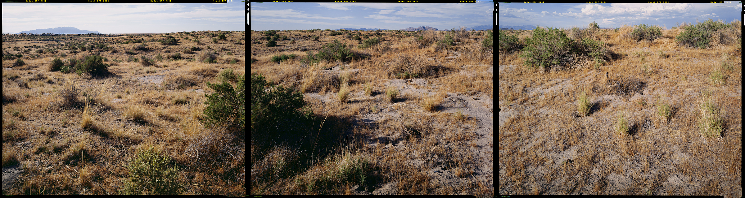 Fish Springs National Wildlife Refuge, Dugway, Utah, 2012