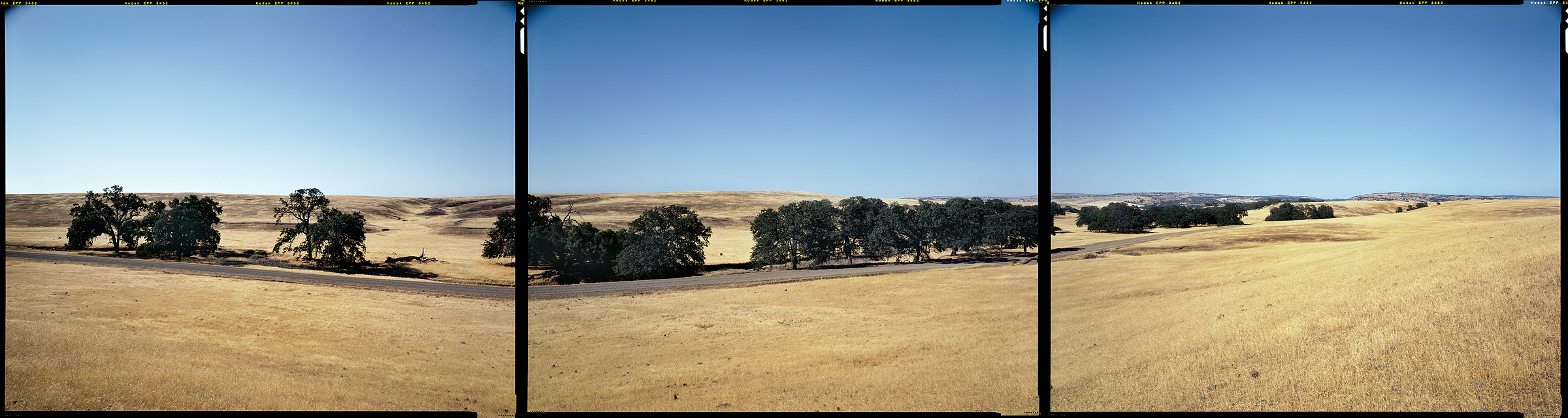 Vina, California, 2012